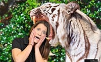 A las vegas green screen photo booth featuring a woman putting her head in a lion's jaw.