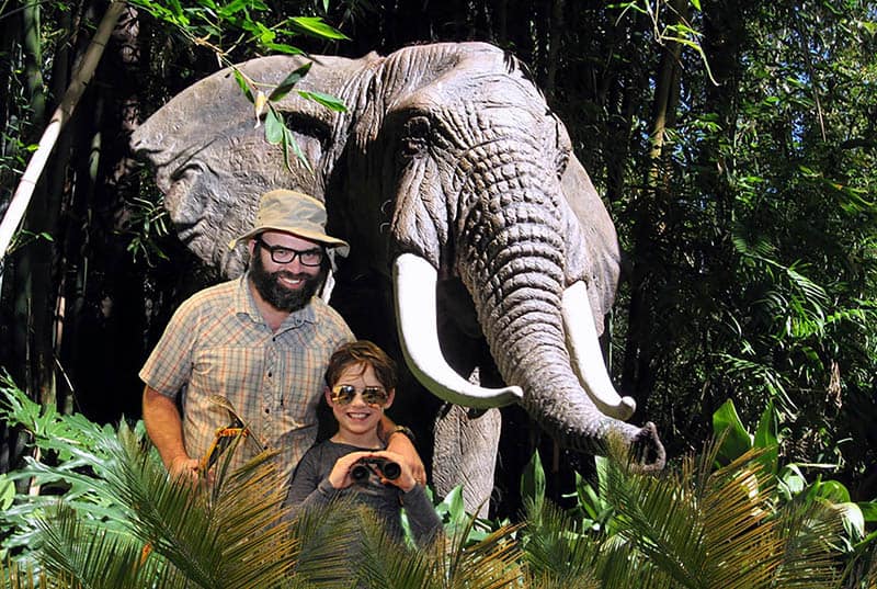 A Miami green screen photo booth at Jungle Island with an elephant as a background